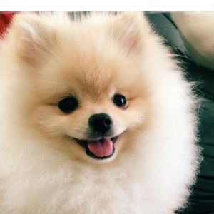 Meet your Posher, Kaylene